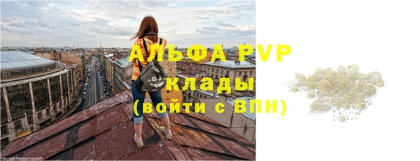 ПСИЛОЦИБИНОВЫЕ ГРИБЫ Гусев