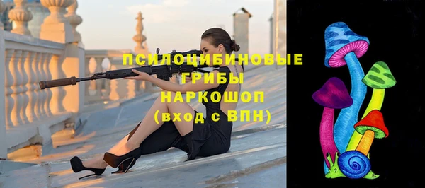 винт Гусь-Хрустальный