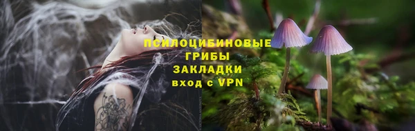прущие крисы Гусиноозёрск