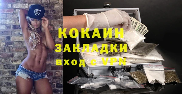 винт Гусь-Хрустальный