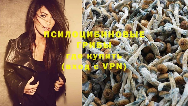 прущие крисы Гусиноозёрск