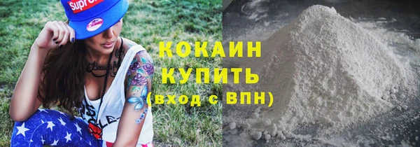 ПСИЛОЦИБИНОВЫЕ ГРИБЫ Гусев