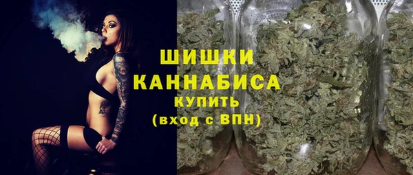 винт Гусь-Хрустальный