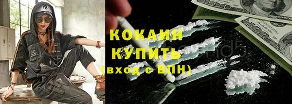 ПСИЛОЦИБИНОВЫЕ ГРИБЫ Гусев